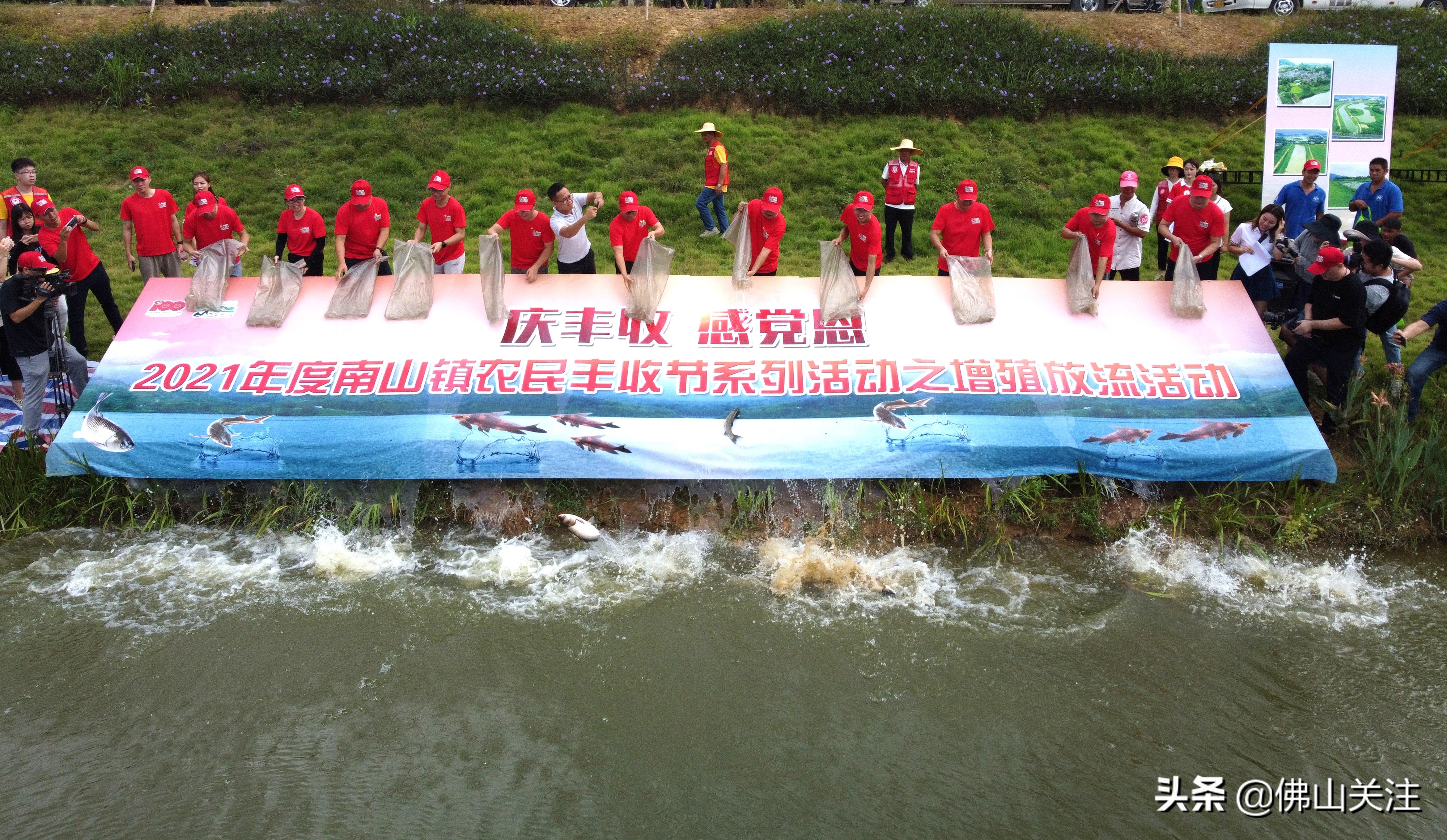 庆丰收 感党恩！南山镇丰收节系列活动盛大开幕