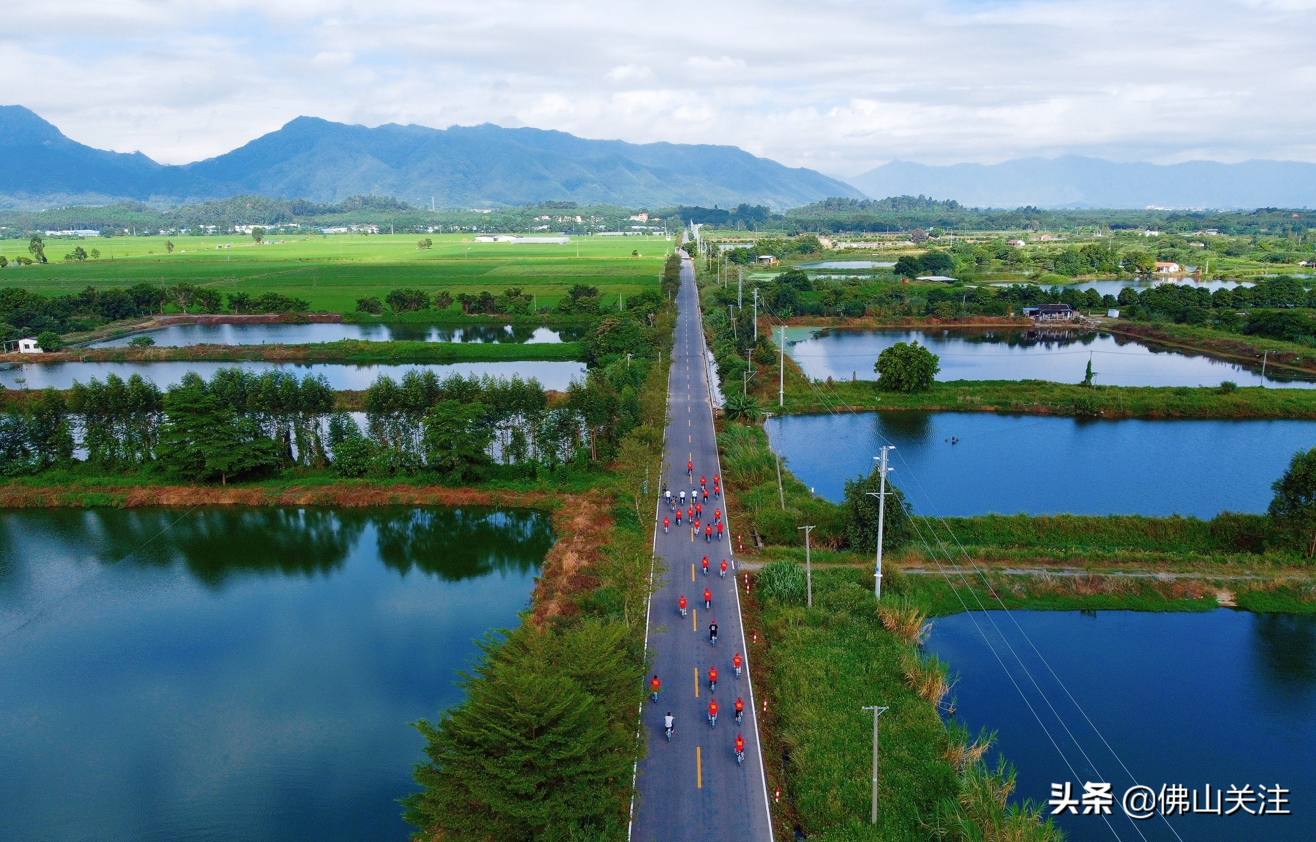 庆丰收 感党恩！南山镇丰收节系列活动盛大开幕
