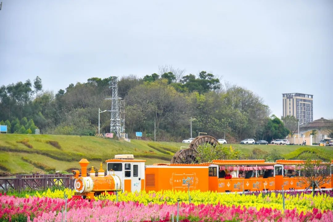 七彩花田、九穗农业园＋乡村新画卷  和美在家朋——七彩花田、九穗油菜花田摄影1_副本.jpg