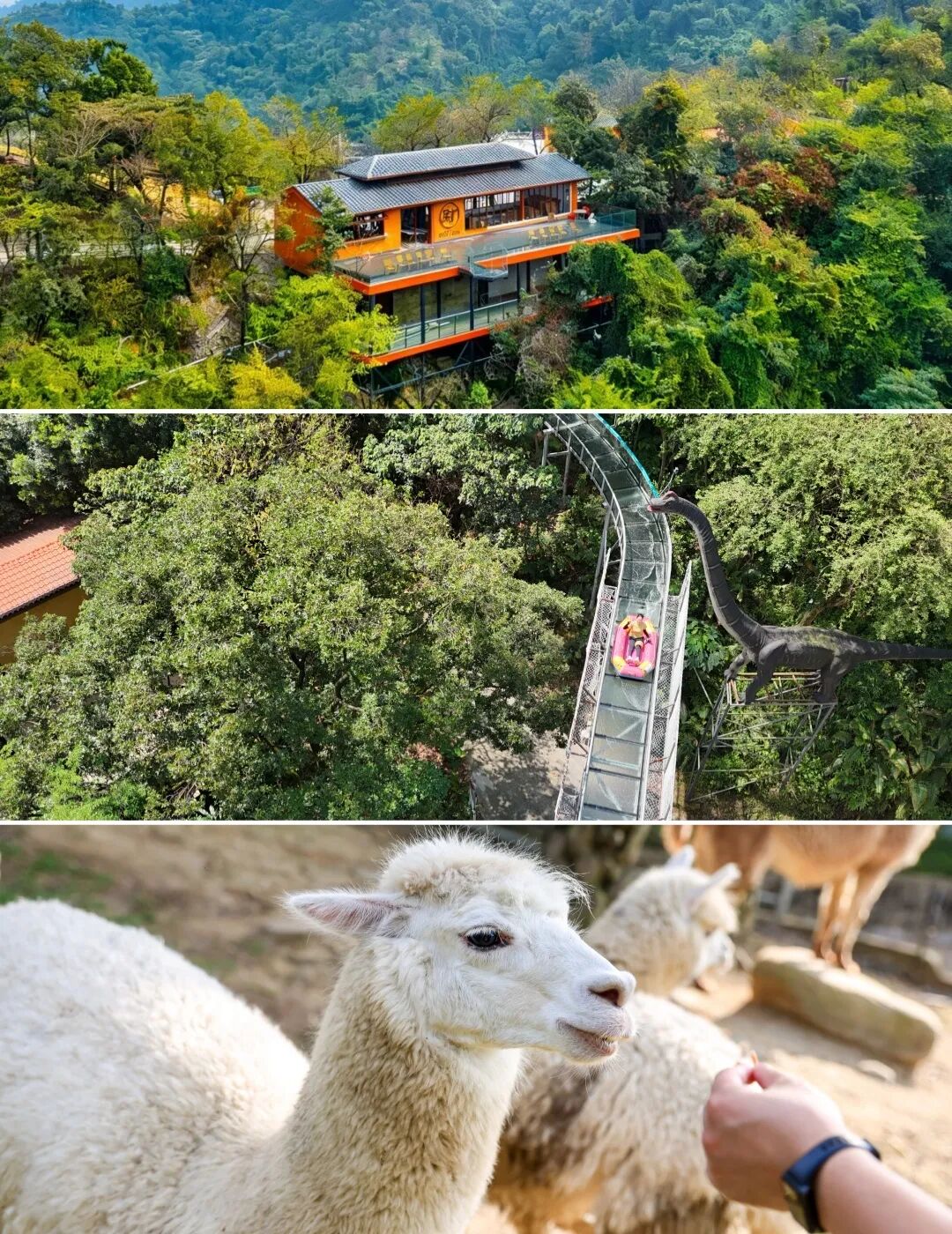未命名.jpg