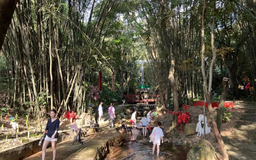 undefined 图片