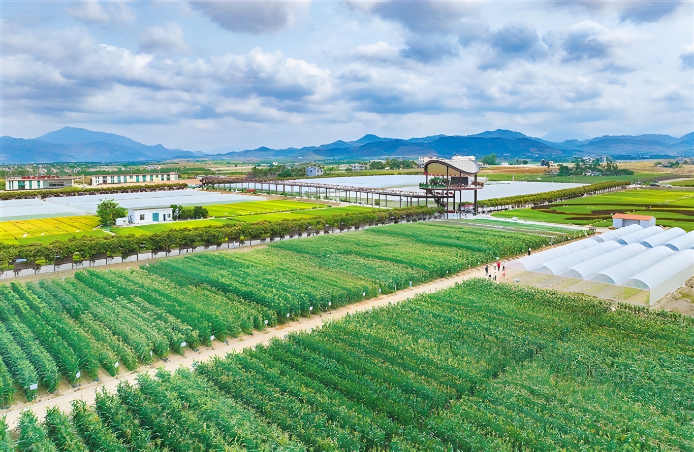全市首个部属央企参与全域土整农业项目（广东农星）_副本.jpg